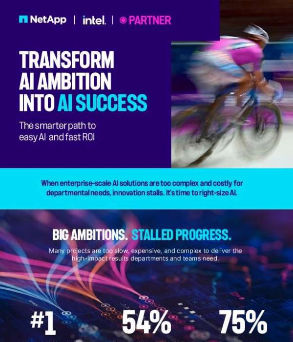 Transform AI Ambition into AI Success